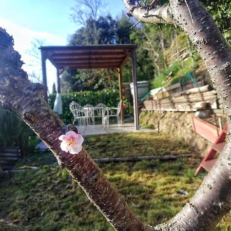 Apartament Casa Laura San Gimignano Zewnętrze zdjęcie
