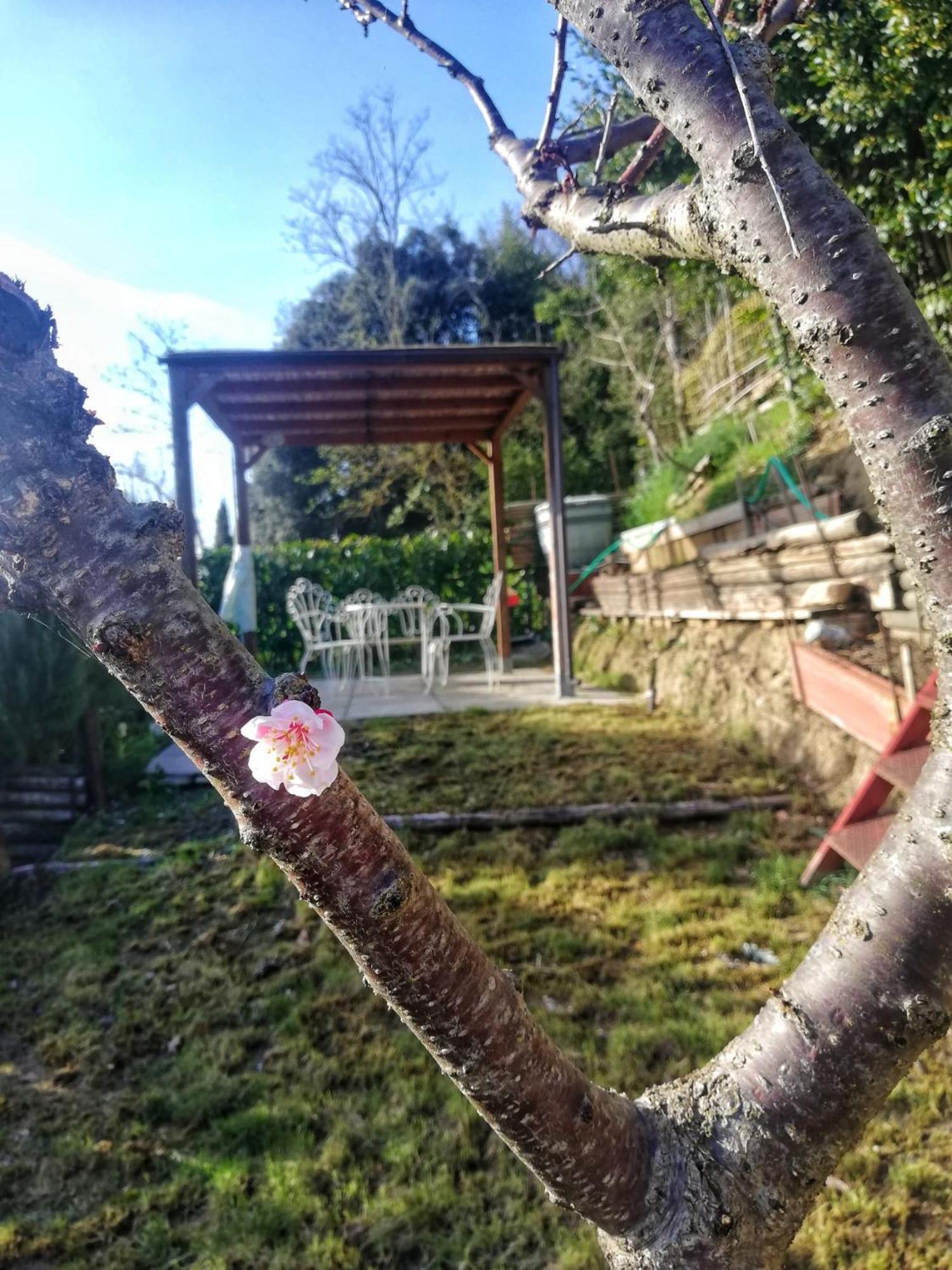 Apartament Casa Laura San Gimignano Zewnętrze zdjęcie